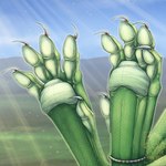 4_toes blurred_background claws close-up day detailed_background dewclaw digitigrade feet female foot_focus foot_shot green_body green_scales hill outside pawpads scales solo sunrays toe_claws toes white_pawpads twilightsaint mythology sedyana dragon mythological_creature mythological_scalie scalie 1:1 detailed watermark