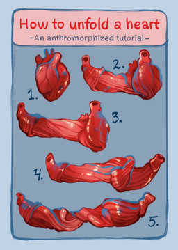 anatomy gore heart_(organ) how-to not_furry organs simple_background text the_more_you_know vein why zero_pictured feefal digital_media_(artwork) english_text hi_res