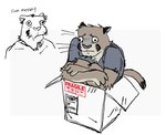 anthro athletic athletic_anthro athletic_male biped blue_clothing blue_shirt blue_topwear box brown_body brown_fur cardboard cardboard_box clothing container curled_up fetal_pose fur male shirt sitting_in_box solo topwear tackydogstatue felid mammal pantherine tiger 2024 hi_res