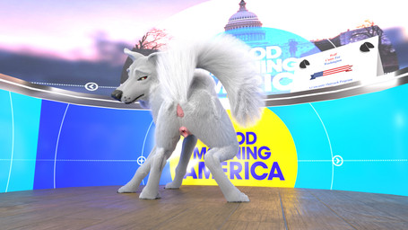 animal_genitalia animal_vulva anus butt canine_genitalia canine_vulva clitoral_fossa crouching female feral genitals looking_at_viewer presenting presenting_hindquarters profanity raised_tail solo tail text vulva redneck_redoubt canid canine canis mammal wolf 16:9 3d_(artwork) 4k absurd_res digital_media_(artwork) english_text hi_res widescreen