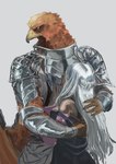 anthro armor beak clothing duo female hair hat headgear headwear hug hugging_another looking_at_another male robe white_hair wings yellow_eyes aka_boguma elden_ring elden_ring_nightreign fromsoftware guardian_(nightreign) recluse_(nightreign) avian bird human mammal hi_res