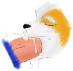 anthro bodily_fluids cum duo erection fellatio genital_fluids genitals interspecies male male/male male_penetrated male_penetrating male_penetrating_male oral oral_penetration penetration penile penis sex kp-yoshi nintendo star_fox falco_lombardi fox_mccloud avian canid canine fox mammal