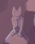anthro breasts canid canine cowgirl_position duo female fox from_front_position hi_res male male/female mammal on_bottom on_top raposa_sq sex