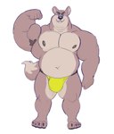 armpit_hair belly big_cheeks body_hair bulge clothing detailed_bulge double_chin flexing flexing_bicep grin looking_at_viewer male musclegut muscular muscular_male navel nipples overweight overweight_male paws pecs smile solo underwear tcw canid canine canis mammal wolf absurd_res hi_res