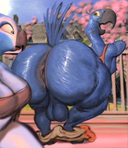 anthro anus balls big_butt blue_sky butt clothed clothing duo genitals male mostly_nude nipples presenting presenting_anus presenting_hindquarters skimpy sky thick_thighs wide_hips hohohonse blue_sky_studios rio_(series) blu_(rio) avian bird hi_res