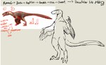 ambiguous_gender anthro arm_feathers claws diagram feathers feral scales sickle_claw simple_background sketchy solo standing tail tail_feathers text toe_claws frog_croaks dinosaur dromaeosaurid feathered_dinosaur feathered_scalie prehistoric_species reptile scalie theropod english_text hi_res model_sheet