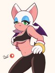 anthro bat_wings bra breasts clothing female hand_on_hip leggings legwear membrane_(anatomy) membranous_wings simple_background smile solo sports_bra under_boob underwear white_background wings fantharubi sega sonic_the_hedgehog_(series) rouge_the_bat bat mammal hi_res