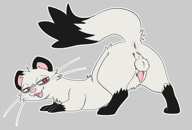 animal_genitalia anus backsack balls black_body black_fur butt dipstick_tail eye_bags feral fur genitals gloves_(marking) half-closed_eyes half-erect leg_markings looking_at_viewer male male_feral markings narrowed_eyes open_mouth penis presenting presenting_anus presenting_hindquarters raised_tail red_eyes sheath sheathed_tapering_penis smug socks_(marking) solo tail tail_anus tail_markings tapering_penis whiskers white_body white_fur squigglydraws jester_(squigglydraws) mammal mustelid musteline true_musteline weasel