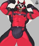 anthro biceps bulge fur harness male manly multicolored_body multicolored_fur muscular muscular_anthro muscular_male nipple_piercing nipples piercing solo teeth tongue tongue_out mattiyyah_lion canid canine canis fox hybrid mammal wolf hi_res