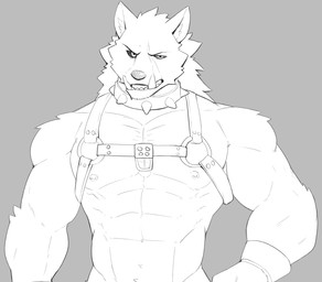 abs anthro areola armband barazoku biceps chest_harness collar fur grey_background harness looking_at_viewer male male_anthro manly muscular muscular_male nipple_piercing nipples pecs piercing pointy_ears prick_ears scar sharp_teeth shirtless simple_background smile solo teeth jrjresq elden_ring fromsoftware blaidd_(elden_ring) canid canine canis mammal wolf greyscale hi_res monochrome sketch