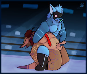 anthro armpit_sniffing blue_border border dragon_sleeper duo fight fighting_pose fighting_ring foreskin foreskin_play genitals handjob male male/male mask penile penis pose sex sniffing sports_mask sportswear wearing_mask wrestling wrestling_mask elcomanfard elco_manfard roobert_jack canid canine kangaroo macropod mammal marsupial hi_res