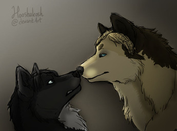 ambiguous/ambiguous ambiguous_gender annoyed black_body black_fur blue_eyes duo feral feralized fur gradient_background nose_to_nose quadruped simple_background white_body white_fur yellow_body yellow_fur ouivon attack_on_titan erwin_smith levi_ackerman canid canine canis mammal wolf 2013