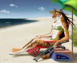 2006 anthro beach bikini breasts brown_hair chakona_space clothing dessa_(folly) detailed_background felid female gun hair mammal mye navel outside pantherine pink_nose rakshani ranged_weapon sand seaside signature sky solo swimwear tales_of_the_folly tiger two-piece_swimsuit unknown_artist unknown_artist_signature water weapon