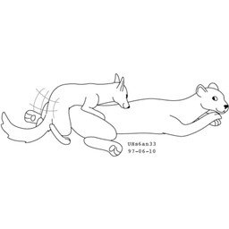 ambiguous_gender duo feral fur humping interspecies looking_at_another looking_back looking_back_at_another male male/ambiguous simple_background size_difference smile tail thrust_lines thrusting white_background urbanhermit canid canine felid feline mammal 1997 1:1 black_and_white dated monochrome
