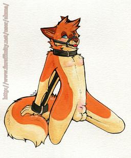 5_fingers animal_genitalia anthro ball_gag balls biped blue_eyes bound collar fingers fully_sheathed fur gag gagged genitals halter harness harness_ball_gag harness_gag kneeling male muzzle_(object) muzzled orange_body orange_fur sheath simple_background solo submissive submissive_male ahma canid canine canis domestic_dog mammal