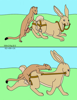 anal anal_penetration animal_genitalia anus balls bdsm bondage bound duo feral feral_on_feral feral_penetrated feral_penetrating feral_penetrating_feral from_behind_position fur genitals grass harness larger_penetrated larger_sub male male/male mounting nude nude_male outside penetration penile penile_penetration penis penis_in_ass plant raised_tail riding sex sheath size_difference sky submissive tail tan_body tan_fur toony urbanhermit lagomorph leporid mammal mustelid musteline rabbit true_musteline weasel 2002 2016 comic dated