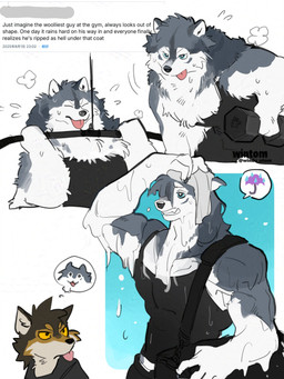 5_fingers abs anthro black_bottomwear black_clothing black_shirt black_tank_top black_topwear blue_eyes bodily_fluids bottomwear breath clothing cute_fangs dripping_wet drying drying_body drying_fur duffel_bag dumbbell duo exercise eyes_closed fangs fingers fluffy fluffy_hair fur gradient_background grey_body gym_bag hair humanoid_hands male multicolored_body muscular neck_tuft open_mouth orange_eyes panting pictogram pink_tongue shirt simple_background social_media solo sweat tank_top teeth teeth_showing text thick_fur thinking thinking_about_another thought_bubble tongue tongue_out topwear towel tuft twitter_handle weights wet wet_body wet_clothing wet_fur wet_hair white_background white_body white_fur windwttom bluesky_(social_media) alaskan_malamute canid canine canis domestic_dog mammal nordic_sled_dog spitz 2025 absurd_res digital_media_(artwork) english_text half-length_portrait hi_res japanese_text portrait signature three-quarter_portrait
