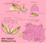 anatomical_diagram anatomy animal_genitalia antennae_(anatomy) arthropod_abdomen arthropod_abdomen_cloaca arthropod_abdomen_genitalia arthropod_abdomen_penis claws cloaca cloacal cloacal_penetration cloacal_penis cross_section dialogue erection fallopian_tubes feral foursome fur genitals green_cloaca green_penis group group_sex guts heart_symbol herm herm/herm internal internal_testicles intersex intersex/intersex intestines mandibles multi_leg multi_limb mutual_penetration oof organs ovaries pawpads penetration penis pink_background ribbed_penis sex simple_background sleeping speech_bubble text toe_claws urethra vaginal vaginal_penetration whiskers jayrockin runaway_to_the_stars alien arthropod bug_ferret domestic_ferret mammal mustelid musteline true_musteline weasel 2017 english_text monochrome multiple_images restricted_palette