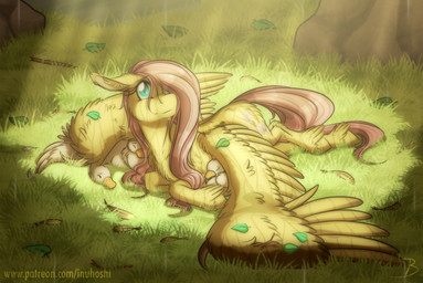 blue_eyes female feral fluffy grass hair lying pink_hair plant solo sun wings inuhoshi-to-darkpen friendship_is_magic hasbro my_little_pony mythology fluttershy_(mlp) anatid anseriform avian bird duck equid equine mammal mythological_creature mythological_equine pegasus 2019 hi_res