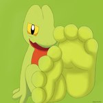 anthro feet foot_fetish male solo nomi0w0xx nintendo pokemon generation_3_pokemon humanoid pokemon_(species) treecko 1:1 absurd_res hi_res