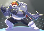 anthro belly black_body black_nose bodily_fluids bottomwear clothing fighting_ring kemono male mask overweight overweight_male pants solo sweat white_body emufu nintendo pokemon generation_6_pokemon pangoro pokemon_(species) 2023