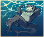 anthro armpit_hair body_hair bulge clothing facial_piercing fish_hook fishing_line fishing_lure grin hook looking_at_viewer male nipples nose_piercing piercing sharp_teeth smile solo speedo swimwear teeth underwater water stellizard fish marine shark hi_res