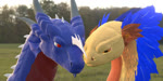 blue_body duo face_squish feathers female feral horn kissing male male/female orange_eyes red_eyes squish yellow_body birdofgrain flight_rising mythology baluryken levieiles coatl_dragon dragon mythological_creature mythological_scalie scalie 2:1 3d_(artwork) 3d_animation animated digital_media_(artwork) no_sound short_playtime webm