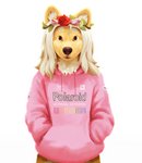 accessory ambiguous_gender anthro blonde_hair clothing flower flower_in_hair front_view fur hair hair_accessory hand_in_pocket hands_in_both_pockets hoodie long_hair pink_clothing pink_hoodie pink_topwear plant pockets simple_background solo tan_body tan_fur text text_on_clothing text_on_hoodie text_on_topwear topwear white_background yellow_eyes nule canid canine canis domestic_dog husky mammal nordic_sled_dog spitz absurd_res hi_res