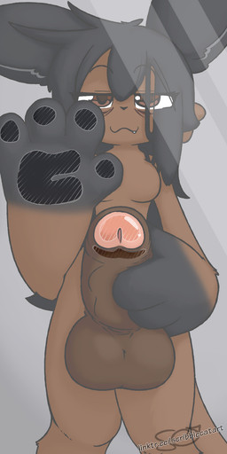 against_surface anthro balls black_ears black_hair breasts brown_body brown_eyes brown_fur brown_penis brown_tail eye_bags foreskin fur genitals gynomorph hair hand_on_penis intersex looking_at_viewer nude nude_gynomorph on_glass penis smile solo tail text alator rikki_(alator) macropod mammal marsupial wallaby hi_res signature url trans_(lore) trans_woman_(lore)