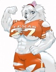 abs american_football anthro biceps big_breasts blue_eyes bottomwear breasts camel_toe clothing competition_number female hair huge_breasts jersey muscular muscular_anthro muscular_female number number_on_clothing number_on_jersey number_on_topwear number_print pose print_clothing print_jersey print_topwear shorts solo sport tail text text_on_clothing text_on_jersey text_on_topwear text_print topwear torn_clothing under_boob gideon college_football ncaa texas_longhorns cleo_(yutrah) canid canine canis mammal wolf