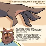 anatomy anthro bored brown_body brown_fur clothing fur male not_furry_focus obese obese_male overweight overweight_male shirt solo text topwear tusks whiskers adamphoebe conditional_dnp wallace_corduroy_(adamphoebe) mammal marine pinniped walrus 1:1 english_text