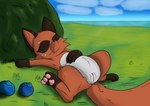 brown_body countershading day eyes_closed female feral food fruit genitals lying oran_berry outside plant pokemon_berry pussy sleeping solo tree softtailed nintendo pokemon canid generation_8_pokemon mammal nickit pokemon_(species) absurd_res hi_res