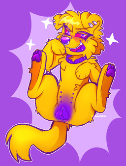 animal_genitalia clitoris clitoris_piercing collar ear_piercing female feral fur genital_piercing genitals pawpads piercing solo yellow_body yellow_fur cannedcanine hi_res