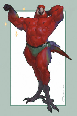 anthro avian_feet beak big_muscles bulge claws clothed clothing feathers flexing male mostly_nude_male muscular muscular_anthro muscular_male pose red_body red_feathers shirtless_male simple_background solo tail tail_feathers underwear underwear_only taran_fiddler avian bird macaw neotropical_parrot parrot true_parrot hi_res pinup