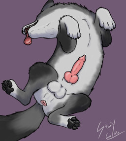 anatomically_correct anatomically_correct_genitalia anatomically_correct_penis animal_genitalia animal_penis anus bodily_fluids canine_genitalia canine_penis cum cum_drip dripping feet feral footprint genital_fluids genitals knot knotted_penis layed_down male pawpads pawprint paws penis precum solo spread_anus spreading tongue tongue_out stinkycoyote canid canine canis domestic_dog mammal absurd_res hi_res