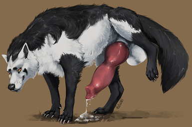 animal_genitalia animal_penis balls big_balls big_penis black_body black_fur bodily_fluids canine_genitalia canine_penis cum cum_on_ground cum_string erection feral fur genital_fluids genitals huge_penis hyper hyper_genitalia hyper_penis knot knotted_penis looking_at_viewer male male_feral penis pink_penis presenting presenting_penis raised_leg red_eyes sheath simple_background smile solo standing tail whisker_spots whiskers white_body white_fur i-psilone nintendo pokemon eliv generation_3_pokemon mightyena pokemon_(species) 2021