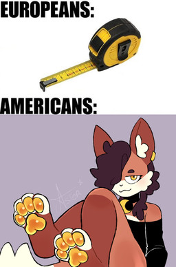 anthro brown_hair choker feet femboy fluffy_ears hair jewelry male necklace piercing shitpost smug smug_face solo tape_measure starlit_aster canid canine fox mammal absurd_res hi_res meme