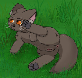 3_fingers 3_toes annoyed anus black_nose bodily_fluids butt claws feet female feral fingers genital_fluids genitals grass inner_ear_fluff multi_nipple nipples orange_eyes pawpads plant presenting presenting_anus presenting_hindquarters presenting_vulva raised_leg scar scars_all_over solo tail toes tuft vaginal_fluids vulva whiskers cookid warriors_(book_series) yellowfang_(warriors) domestic_cat felid feline felis mammal shaded