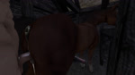 animal_genitalia animal_penis animal_vulva anus aroused bestiality big_butt butt duo equine_genitalia equine_penis equine_vulva feral feral_penetrated from_behind_position genitals herm human_on_feral human_penetrating human_penetrating_feral intersex intersex/male intersex_penetrated interspecies male male_penetrating male_penetrating_intersex multiple_angles penetration penile penile_penetration penis penis_in_vagina puffy_anus sex stable vaginal vaginal_penetration anonymous_artist equid equine horse human mammal 16:9 3d_(artwork) 3d_animation animated digital_drawing_(artwork) digital_media_(artwork) hi_res high_framerate no_sound short_playtime webm widescreen