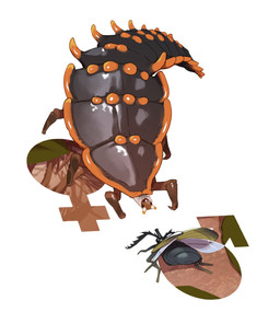 antennae_(anatomy) black_antennae black_body black_exoskeleton black_eyes blue_wings brown_body brown_exoskeleton duo exoskeleton female female_feral female_symbol feral gender_symbol glistening glistening_body glistening_exoskeleton insect_wings invertebrate_proboscis larger_female leaf male male_feral male_symbol multicolored_body multicolored_exoskeleton orange_body orange_exoskeleton outside proboscis_(anatomy) size_difference smaller_male symbol translucent translucent_wings wings combos-n-doodles arthropod beetle elateroid insect trilobite_beetle 2026 absurd_res hi_res