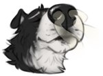 :3 ambiguous_gender droppy_ears enjoyment eyes_closed feral fluffy hyper_nose odor sniffing solo skuru skuru_(character) canid canine canis domestic_dog husky mammal nordic_sled_dog spitz male_(lore)