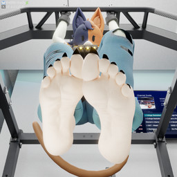 5_toes :3 anthro barefoot biped black_nails bottomwear claw_toes claws clothed clothing colored_nails denim denim_bottomwear denim_clothing feet female female_anthro foot_focus gym humanoid_feet jeans low-angle_view nails pants plantigrade soles solo tail text toe_claws toes topwear wrinkled_feet wrinkles n00b-body epic_games fortnite cate_meowdy domestic_cat felid feline felis mammal 1:1 3d_(artwork) absurd_res blender_(artwork) blender_cycles_(artwork) digital_media_(artwork) english_text hi_res