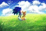 anthro clothing cloud day duo footwear fur gloves grass handwear male plant sonicaimblu19 sega sonic_the_hedgehog_(series) miles_prower sonic_the_hedgehog canid canine eulipotyphlan fox hedgehog mammal 2019 hi_res signature