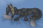 breasts chakat computer female laptop nude silvertail solo taur
Rating: Questionable
Score: 5
User: chakat.silvertail
Date: March 06, 2013