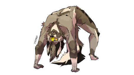 anthro barely_visible_genitalia barely_visible_penis big_tail dark_nose ear_piercing ear_ring eyebrows fur genitals grey_body grey_fur grey_hair grey_markings hair long_ears long_hair male markings muscular muscular_anthro muscular_male nude open_mouth penis piercing ring_piercing simple_background solo tail tail_markings teeth teeth_showing white_background white_eyebrows white_markings yellow_eyes yellow_markings rexkoire canid canine mammal full-length_portrait hi_res portrait