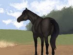 anatomically_correct anatomically_correct_anus anatomically_correct_genitalia anatomically_correct_pussy animal_genitalia animal_pussy anus black_body black_face black_fur black_nose black_tail brown_eyes butt dark_body dark_face dark_fur dark_tail detailed_background equine_anus equine_genitalia equine_pussy female feral fur genitals head_turned hooves looking_at_viewer looking_back looking_back_at_viewer mane monotone_tail multicolored_body multicolored_face multicolored_fur pasture presenting presenting_anus presenting_hindquarters presenting_pussy puffy puffy_anus pussy quadruped rear_view smile solo standing straight_legs tail two_tone_body two_tone_face two_tone_fur white_body white_face white_fur tabascocat equid equine horse mammal 2021 4:3 digital_media_(artwork) full-length_portrait portrait