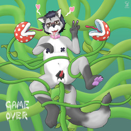 anal anal_penetration anthro bodily_fluids collar cum cum_drip cum_on_penis dripping eyewear genital_fluids genitals glasses heart_symbol male pasties penetration penis plant plant_tentacles solo solo_focus tentacle_in_ass tentacle_penetration tentacles tongue tongue_out video_game_reference soranotamashii mario_bros nintendo joule_(soranotamashii) elemental_creature flora_fauna mammal piranha_plant procyonid raccoon 1:1 absurd_res hi_res