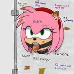 accessory anthro bathroom bdsm body_writing bondage bound feces female fur gag headband humiliation implied_scat objectification permanent permanent_bondage pink_body pink_fur profanity public_restroom ring_gag solo solo_focus stated_age submissive submissive_female text tongue tongue_out young redshade sega sonic_the_hedgehog_(series) amy_rose eulipotyphlan hedgehog mammal 1:1 english_text hi_res