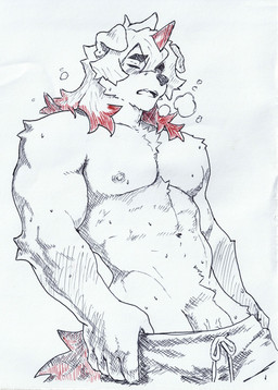 abs anthro biceps bodily_fluids clothing male muscular muscular_male nipples pecs seductive solo standing sweat triceps undressing undressing_self anthon0331 arknights hypergryph studio_montagne hung_(arknights) canid canine mammal hi_res