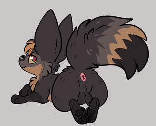 anus balls butt dipstick_tail feral fur genitals hair looking_back lying male markings multicolored_tail nude pawpads paws puckered_anus simple_background smile solo tail tail_markings kaiizree korwin canid canine fox mammal hi_res